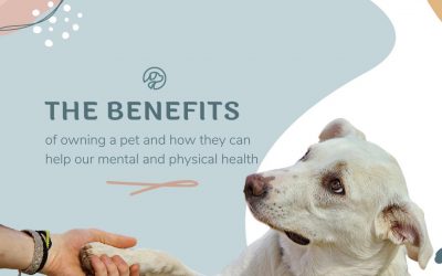 The health benefits of pet ownership