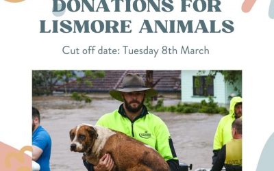 Donation appeal for animals of Lismore floods