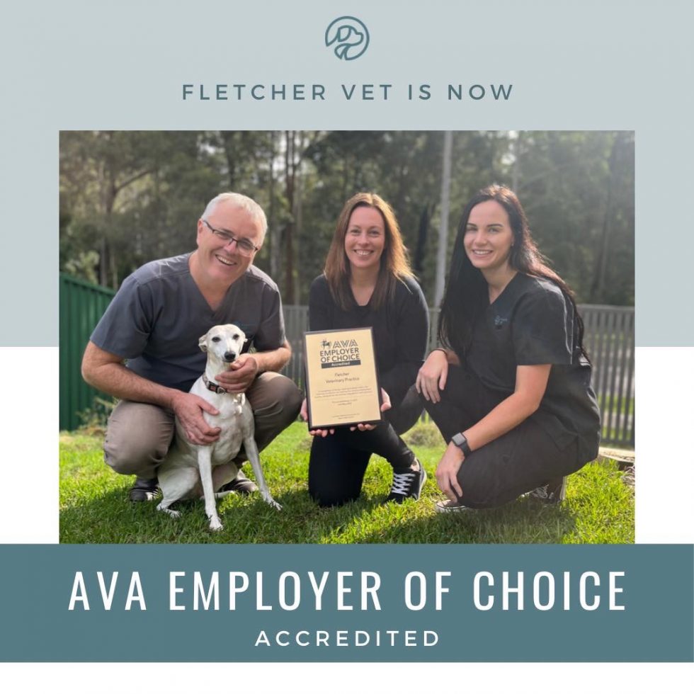 AVA Employer of Choice Accredited Fletcher Vet