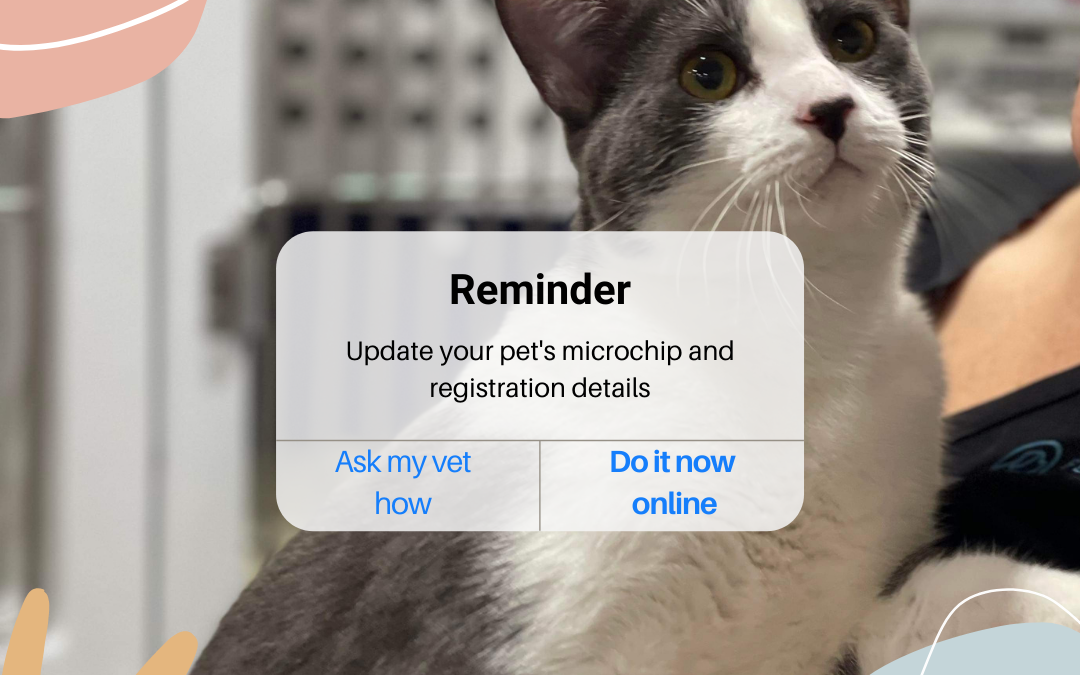 Updating your pet’s microchip & registration details
