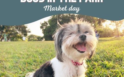 Dogs in the Park Market Day