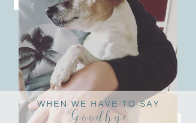 When We Lose A Pet