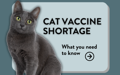 Cat Vaccine Shortage