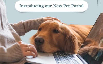 Introducing our New Pet Portal